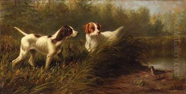 On Point, A Setter And Pointer Wih A Woodcock - view 1