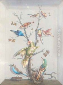 A parrot and other exotic birds perched on a tree by Continental School