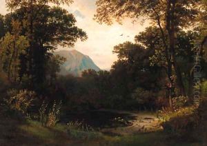 A woodland pond with mountains beyond