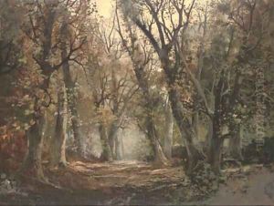 A wooded landscape