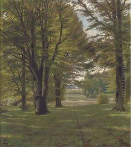 Summer light by Continental School