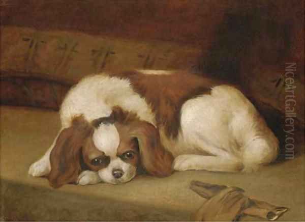 A Japanese Chin - view 1