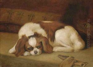 A Japanese Chin by Continental School