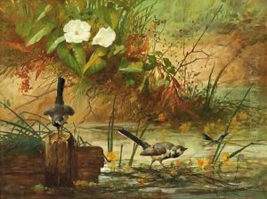 Summer pond