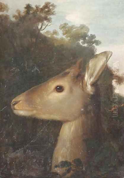 A deer's head - view 1