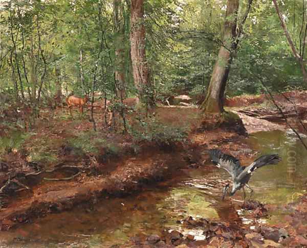 Forest wildlife - view 1