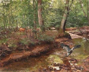 Forest wildlife