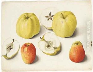 Four apples and four halves of apples by German School
