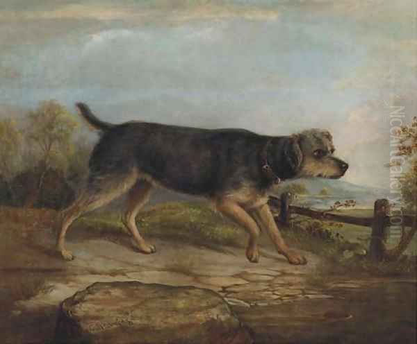 Inquisitive canine - view 1