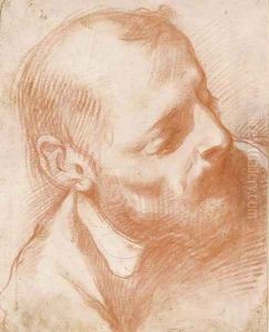 Head of a bearded man turned to the right