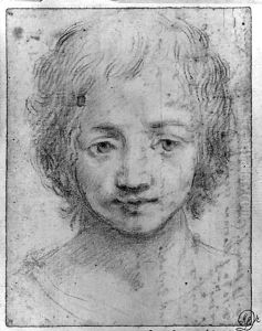 The head of a girl by Florentine School