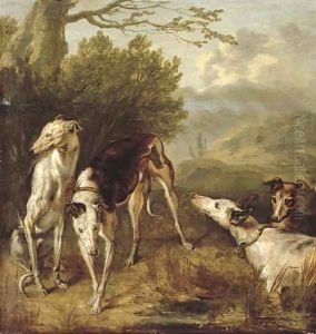 Four greyhounds in a wooded landscape