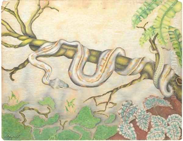Serpent - view 1
