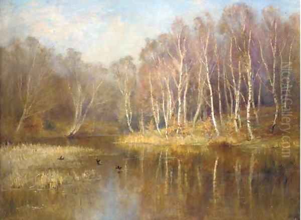 The mirror of the woods - view 1
