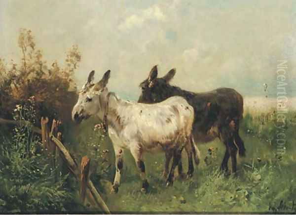 Donkeys in a meadow - view 1