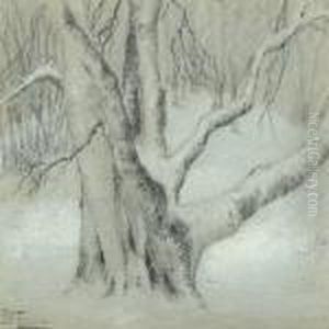 Winter Study With A Three