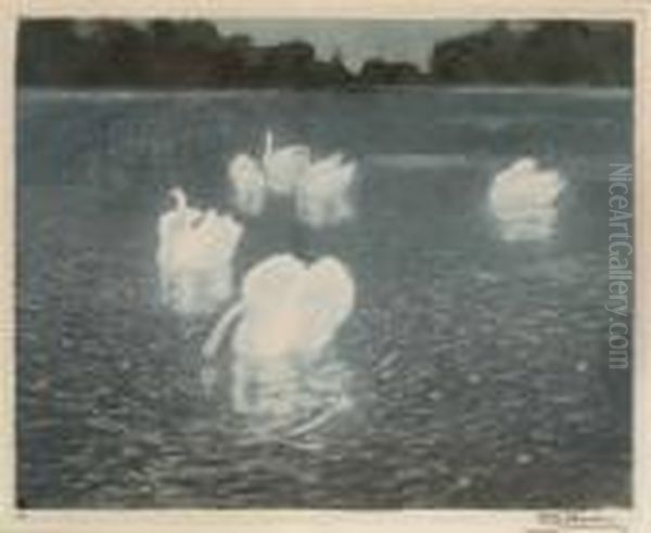 Les Cygnes - view 1