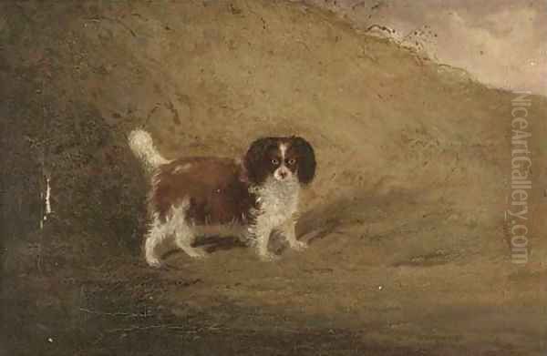 A spaniel in a landscape - view 1