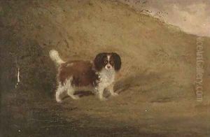A spaniel in a landscape by Francis Sartorius