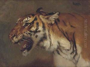 Tigre rugissant by Gustave Surand