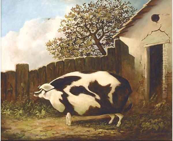 A sow in a farmyard - view 1