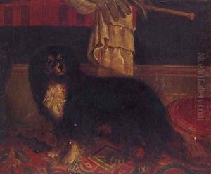 A King Charles Spaniel