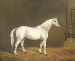 Mr Upright's Jack, a grey horse in a stable by English Provincial School
