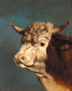 The head of a prize bull by English Provincial School