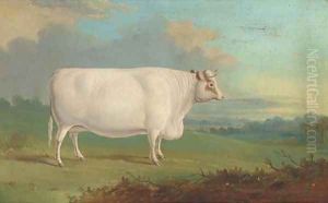 A cow in an extensive landscape by English Provincial School