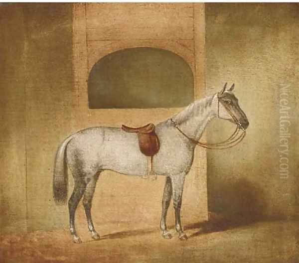 A saddled dapple grey in a stable - view 1