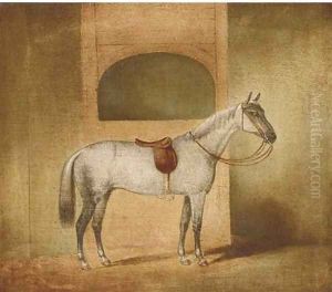 A saddled dapple grey in a stable A saddled dapple grey in a stable
