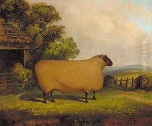 A prize ram in a field by English Provincial School