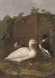A duck by Aert Schouman