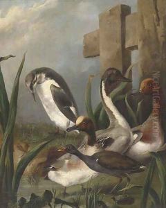 Ducks, a moorhen, an auk and a dragonfly by a river