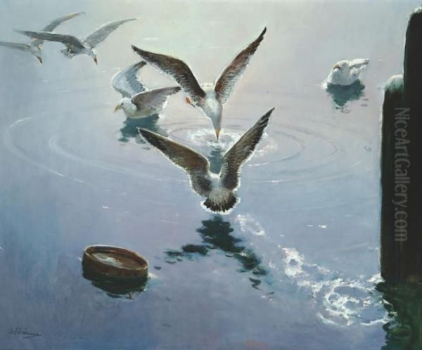 Silver Light - view 1