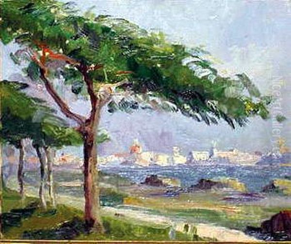 Havana From St. Morro - view 1