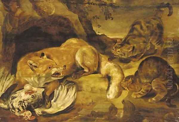 A fox defending its kill from wild cats - view 1