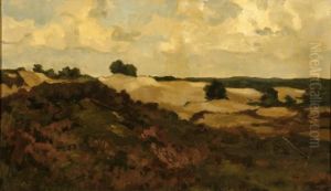 Dune Landscape