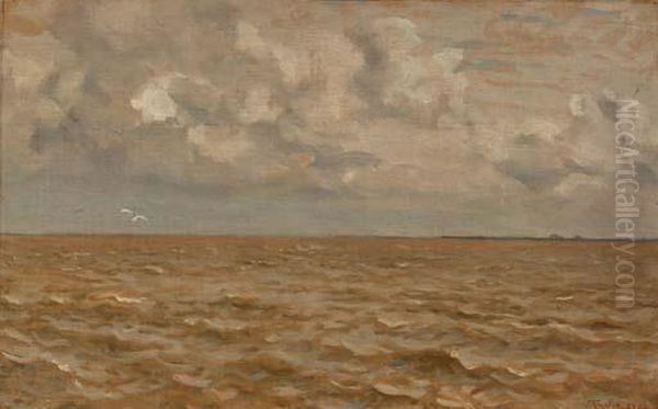 Open Water - view 1