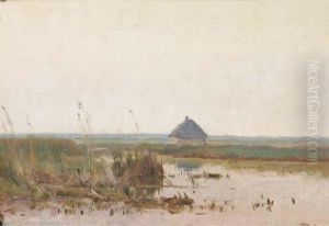 Polder At Dusk