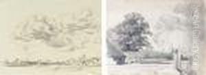 A Windswept Panoramic Landscape