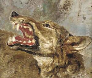 The head of a wolf a study