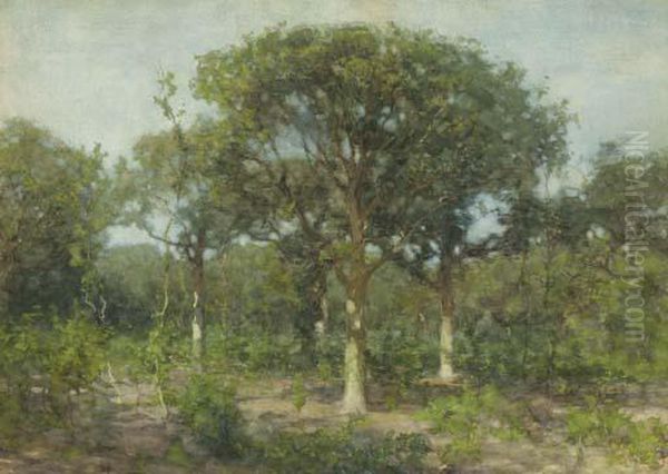 A Wooded Landscape - view 1
