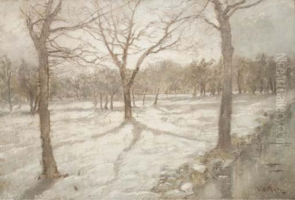 Sneeuw: A Sunlit Winterlandscape - view 1
