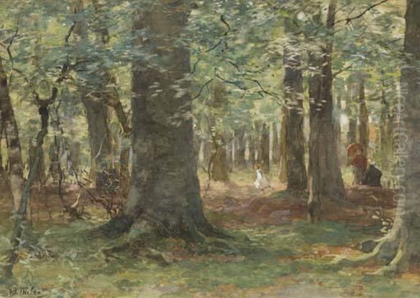 Playing In The Woods - view 1