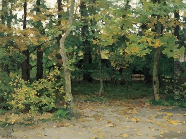 A View In A Forest - view 1