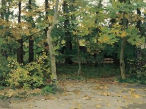 A View In A Forest