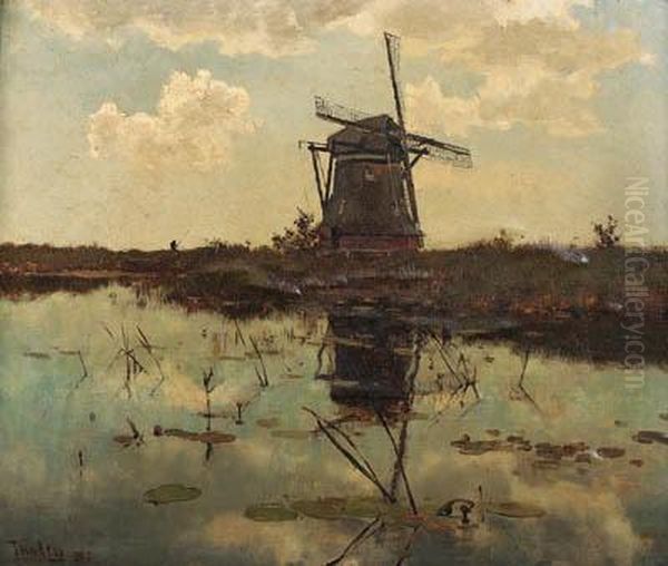 A Windmill In A Polder Landscape - view 1