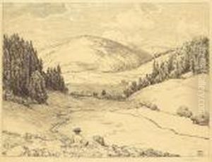 Schwarzwaldhohe - Tal Bei Sankt Blasien