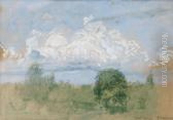Baumbestandene Landschaft - view 1
